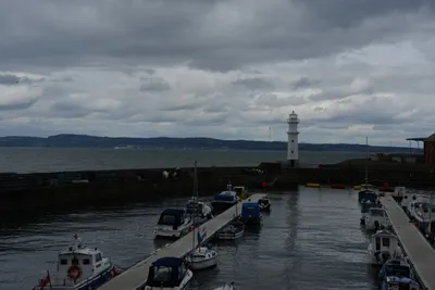 DSC_7314 (Large).JPG